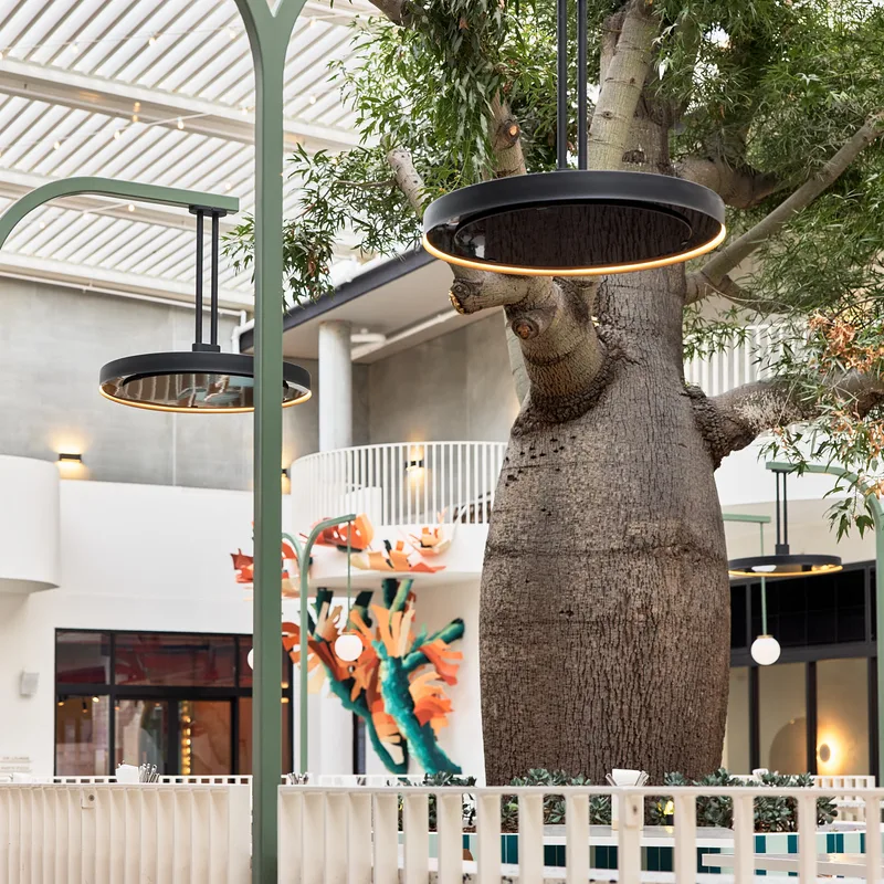 Bromic Eclipse heaters on curved poles above the tables of a hotel courtyard restaurant around a large bottle tree