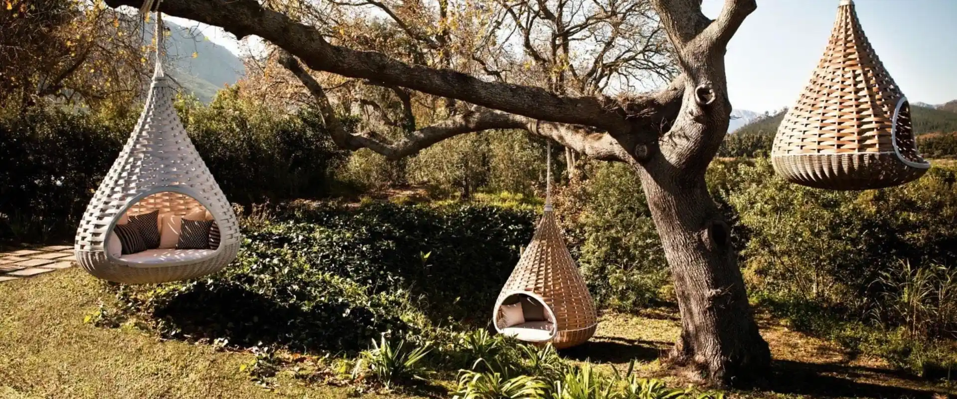 Three Dedon Nestrest hanging loungers suspended from an old tree in a sunny hillside garden