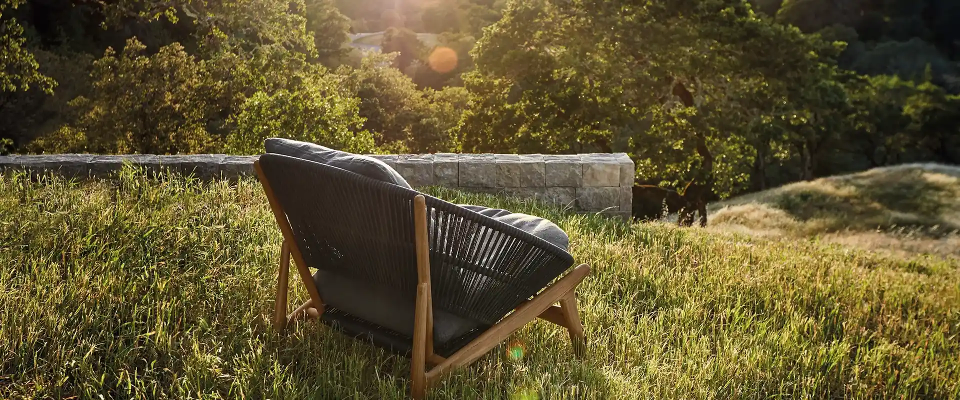 Gloster Bora lounge chair in dark woven rope standing in tall grass, with sunlight through the trees