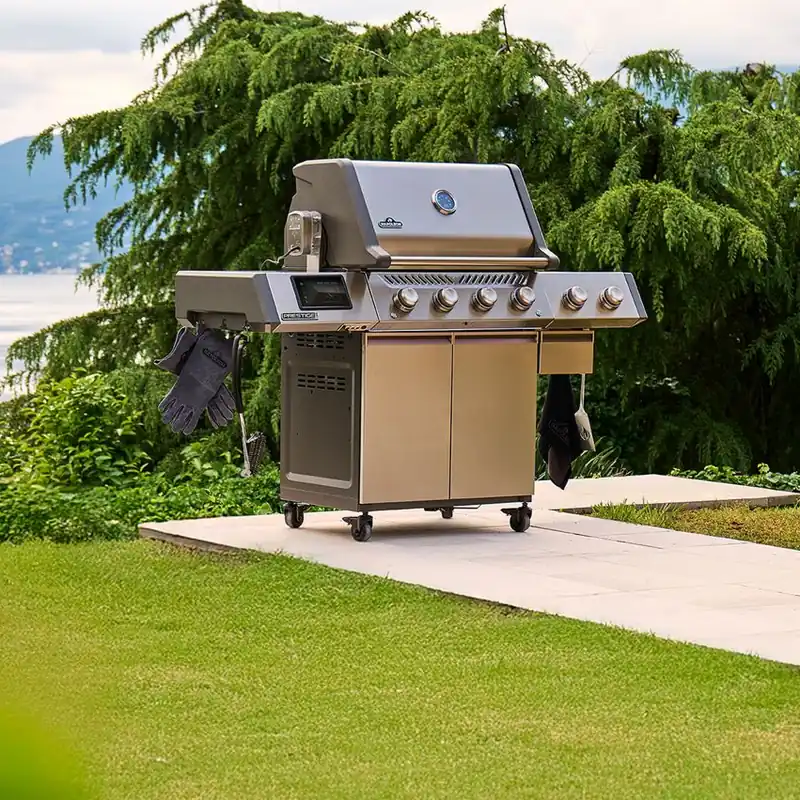 Napoleon Prestige Pro 500 stainless steel gas grill on a paved platform in a garden lawn, with a lake and mountains behind
