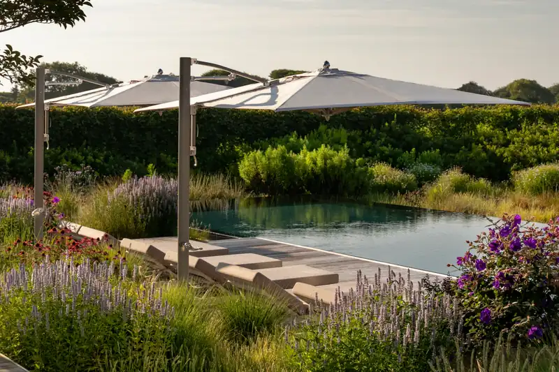Two Tuuci Ocean Master MAX Classic Cantilever parasols over sun loungers on a wood deck beside a dark pool, surrounded by ornamental grasses and purple flowers