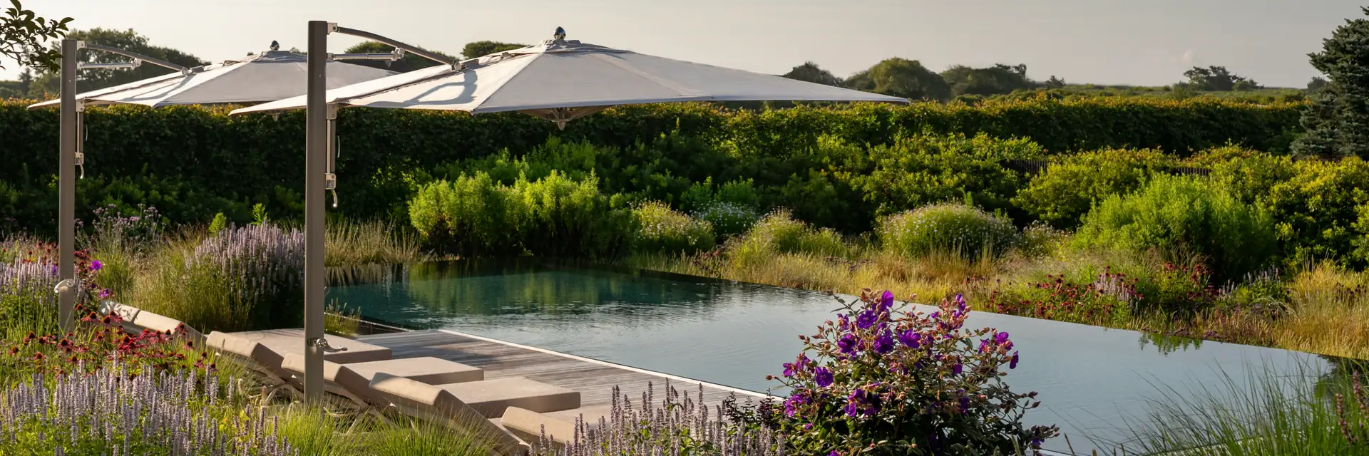 Two Tuuci Ocean Master MAX Classic Cantilever parasols over sun loungers on a wood deck beside a dark pool, surrounded by ornamental grasses and purple flowers