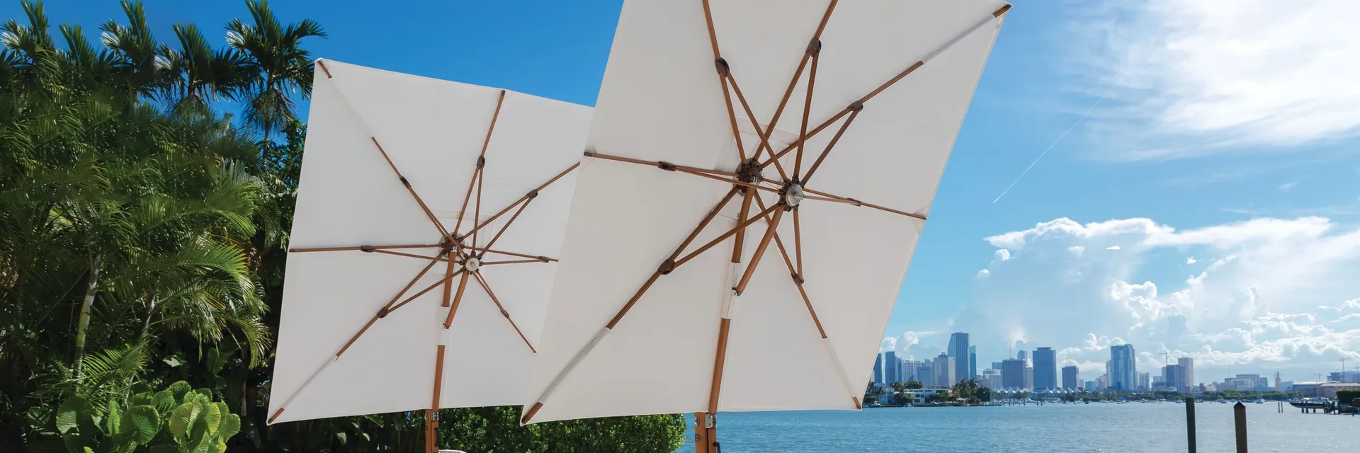Two white Tuuci Ocean Master MAX cantilever parasols tilted to show the teak-look ribs on the underside, over loungers by a waterfront pool