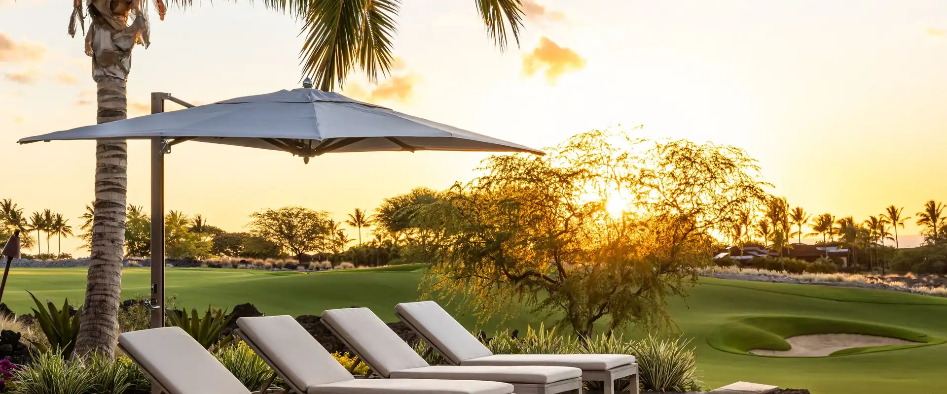 Tuuci Ocean Master MAX Classic Cantilever parasol shading a row of cushioned sun loungers, with a palm tree and a golf course behind at sunset