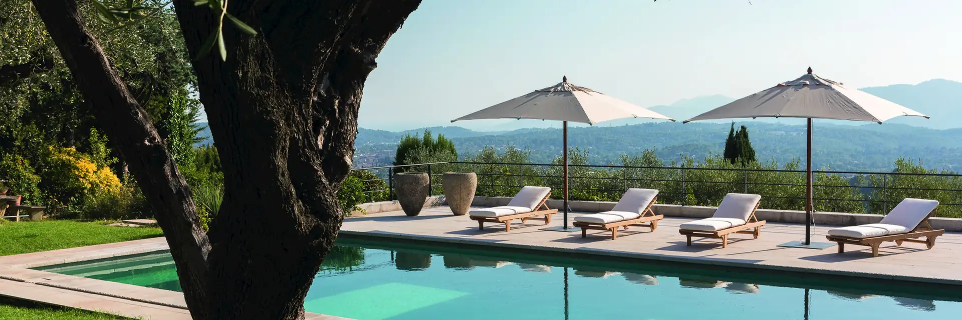 Unopiù Chelsea teak sun loungers and parasols beside a pool, seen under the branches of an old olive tree